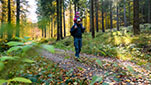 Wandern mit Kinder im Erzgebirge