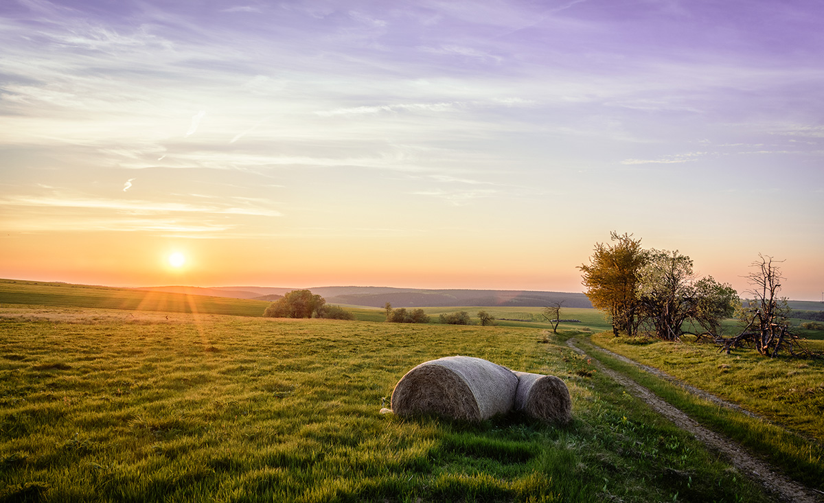 Traumhafte Sonnenuntergänge über den Feldern im Erzgebirge