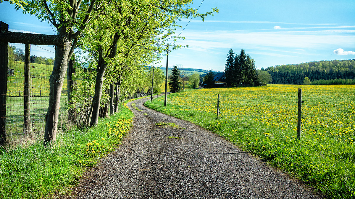 Spaziergang am Wildgehege