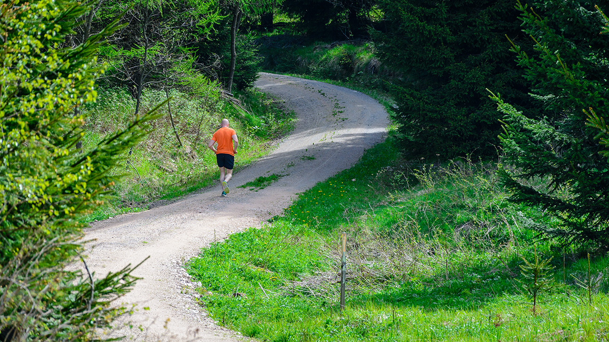 Joggen durch den Erzgebirgswald