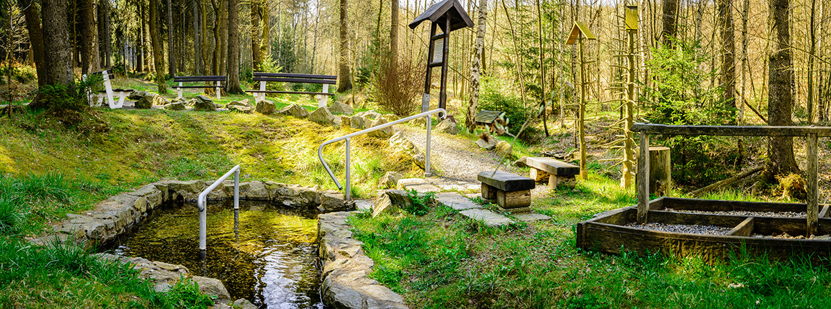 Die Kneipp Anlage - 10min Fußweg vom Hotel