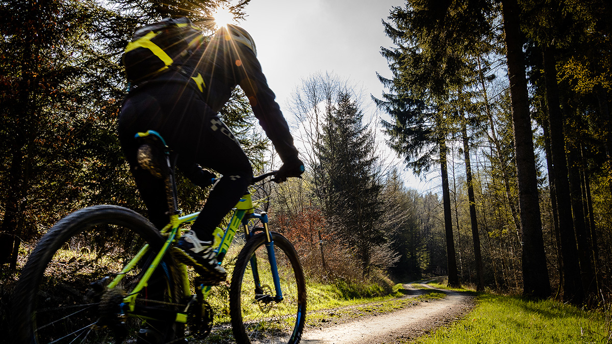 Entdecken Sie das Erzgebirge mit dem Mountainbike
