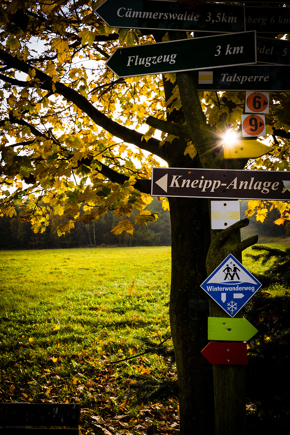 Wandern am Goldhübel - Direkter Einsteig ab Hotel