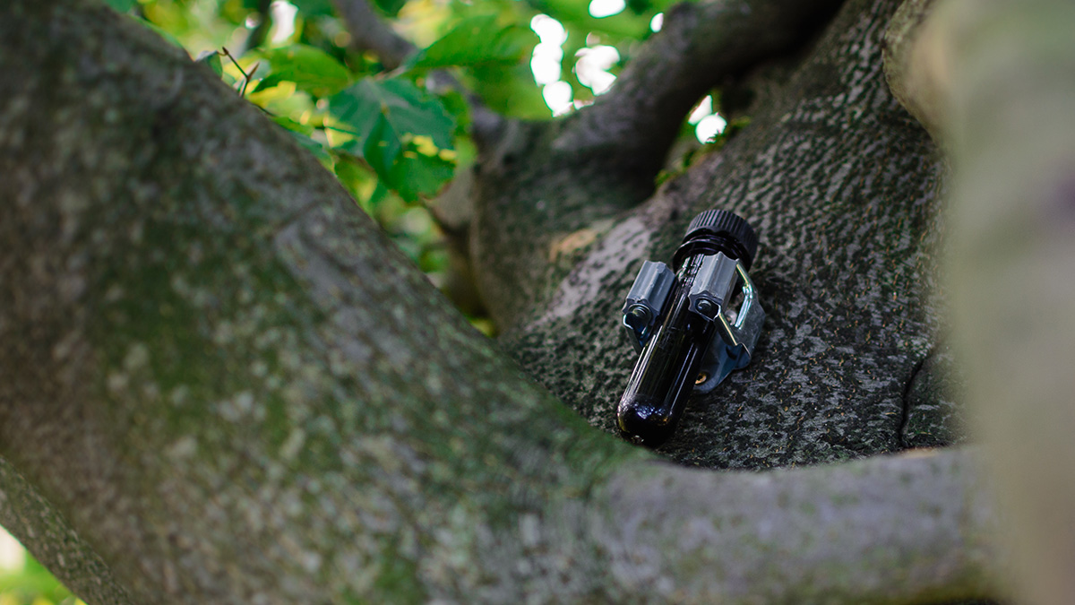 Die Goldhübelwanderung - Cache Serie direkt am Goldhübel