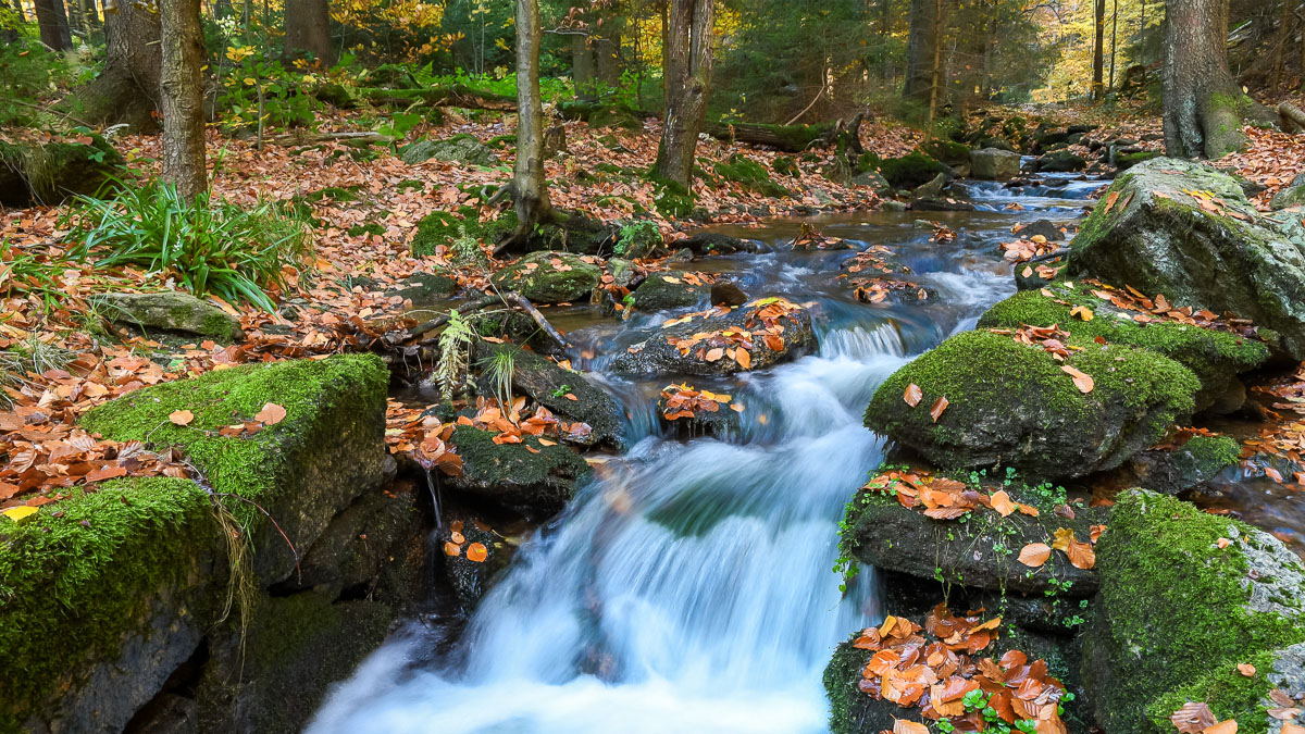 Plätscherndes Wasser in wunderschönen Bächen im Wald