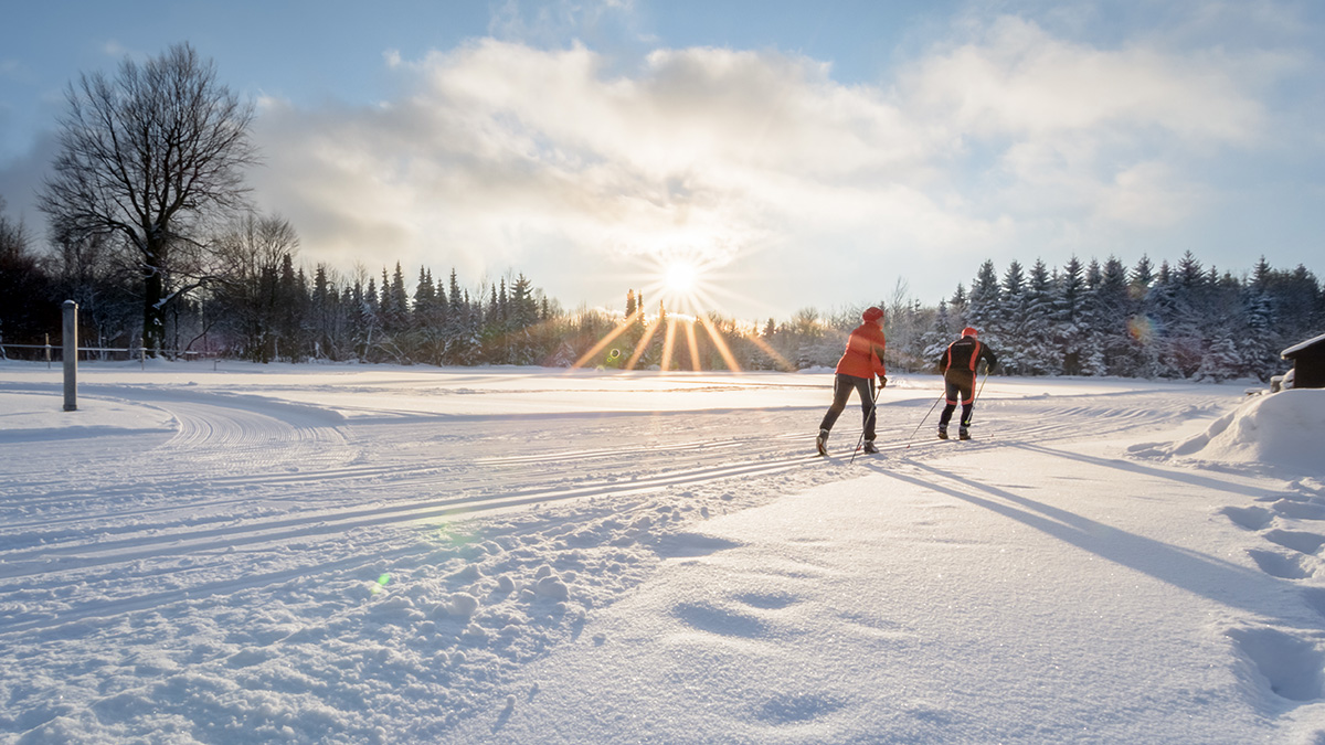 Schwartenbergloipe - Super Bedingungen für alle Langläufer nur 5km entfernt